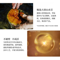 羽西（YUE-SAI）灵芝生机焕活洁面乳125ml（氨基酸洗面奶女 深层清洁 补水保湿 温和不易紧绷）